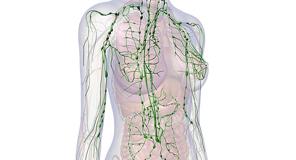 Nyirokmasszázs, manualis/manuelle lymphdrainage (mld), bandázsolás